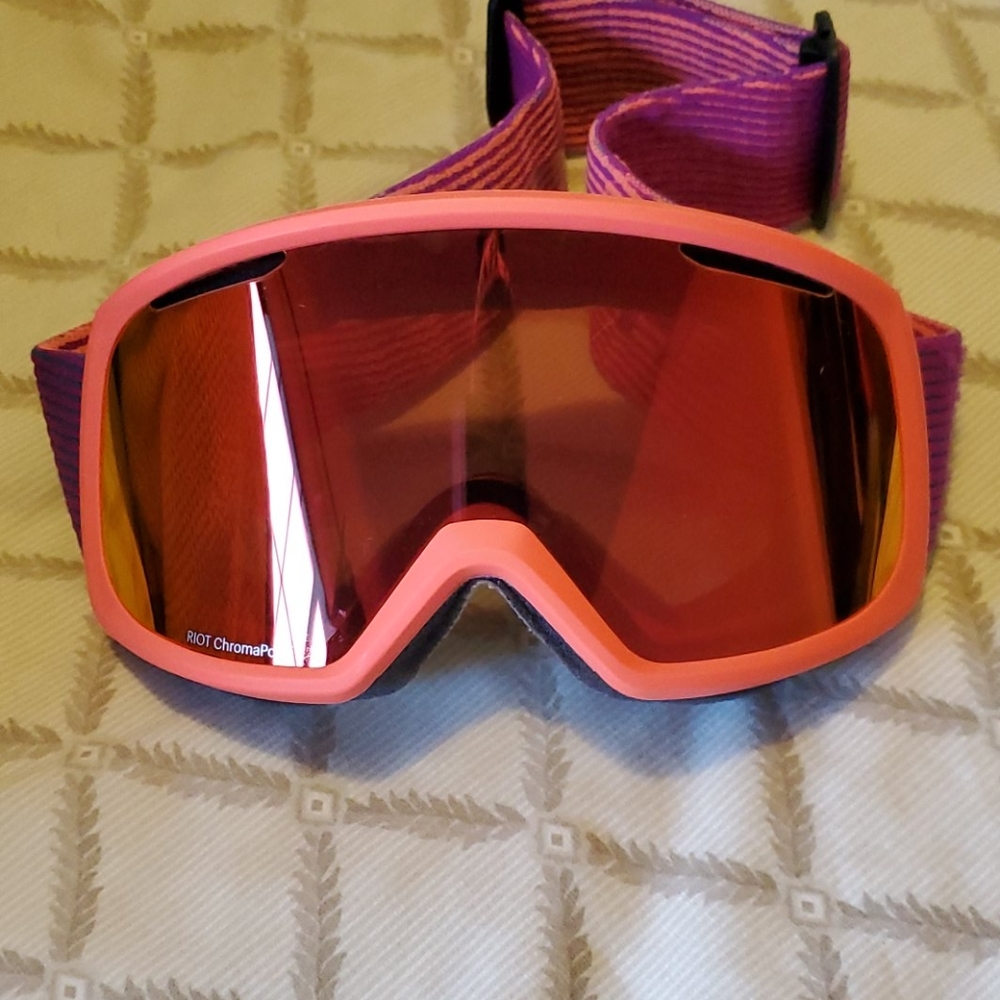 Smith riot goggles